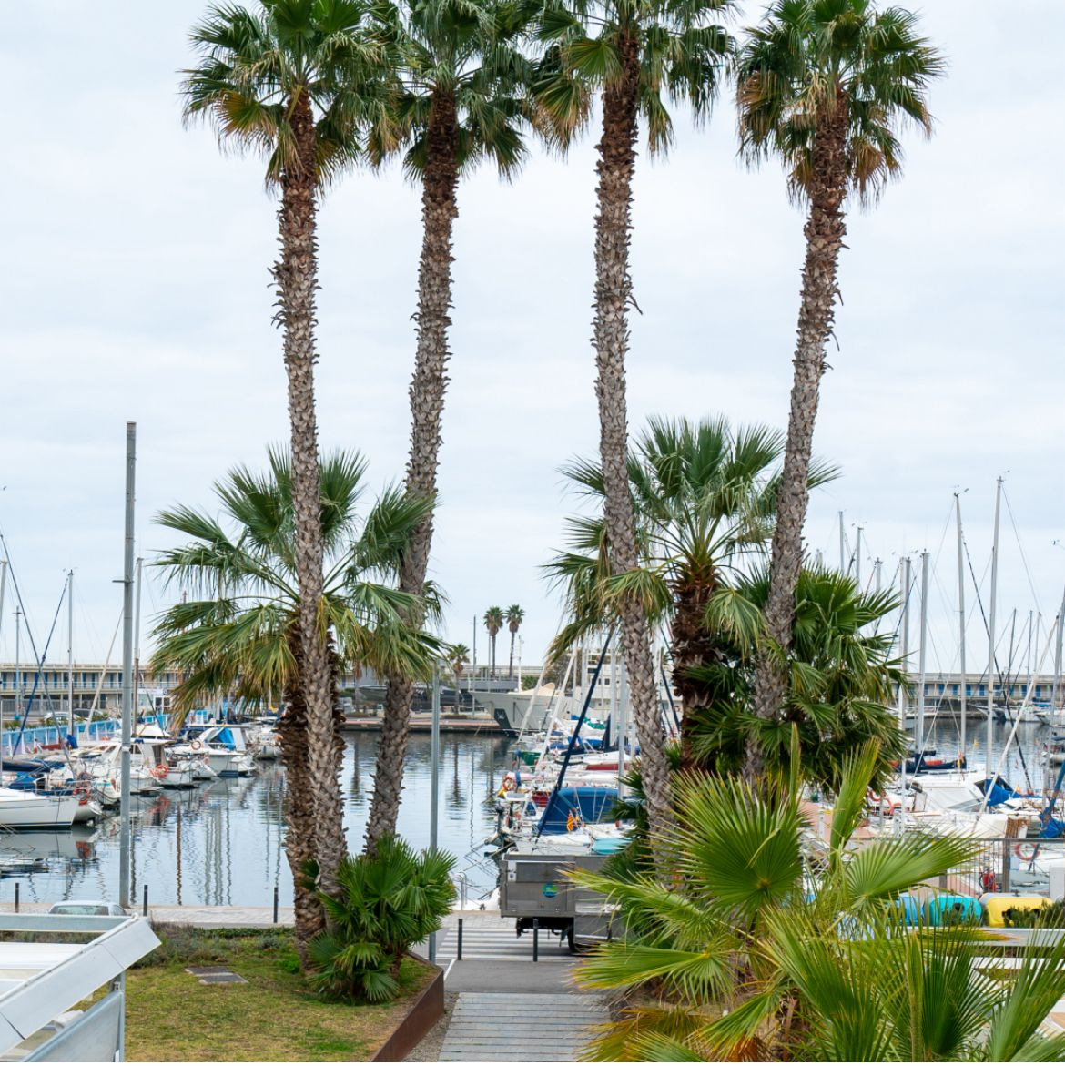 El Port de Mataró